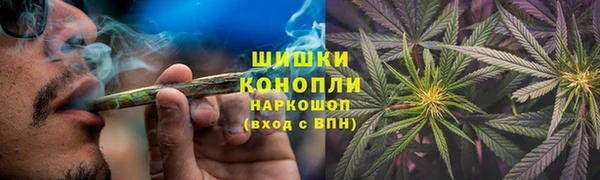 прущие грибы Алзамай