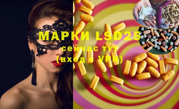 прущие грибы Алзамай