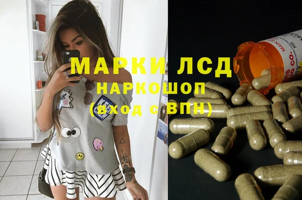 прущие грибы Алзамай
