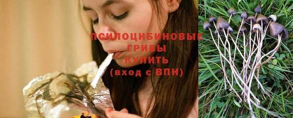 mix Алексин