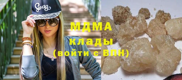 прущие грибы Алзамай