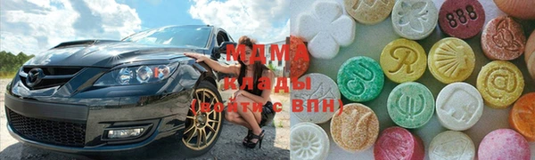 прущие грибы Алзамай