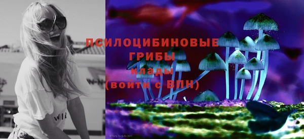 прущие грибы Алзамай
