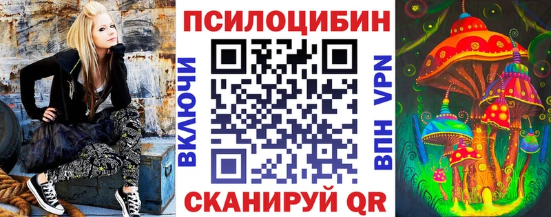 закладка  Туймазы  Галлюциногенные грибы GOLDEN TEACHER 